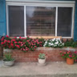 Meet your Posher, Prisca